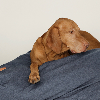 coussin pour chien pouf